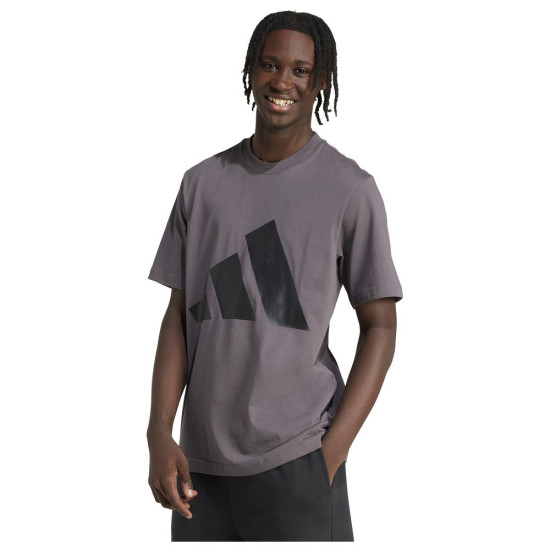 Adidas Ανδρική κοντομάνικη μπλούζα Essentials Big Logo Tee